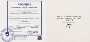 Apostil Nedir, Nereden Alınır? Adım Adım Onay Süreci